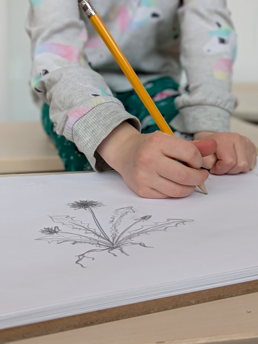 Photo by Sigmund A child draws a botanical illustration of a flower.